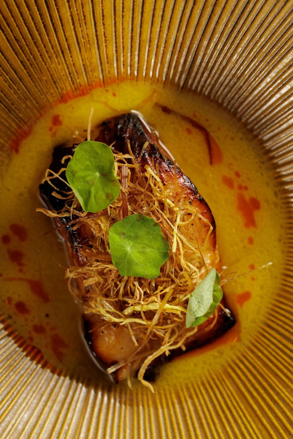 Black Cod